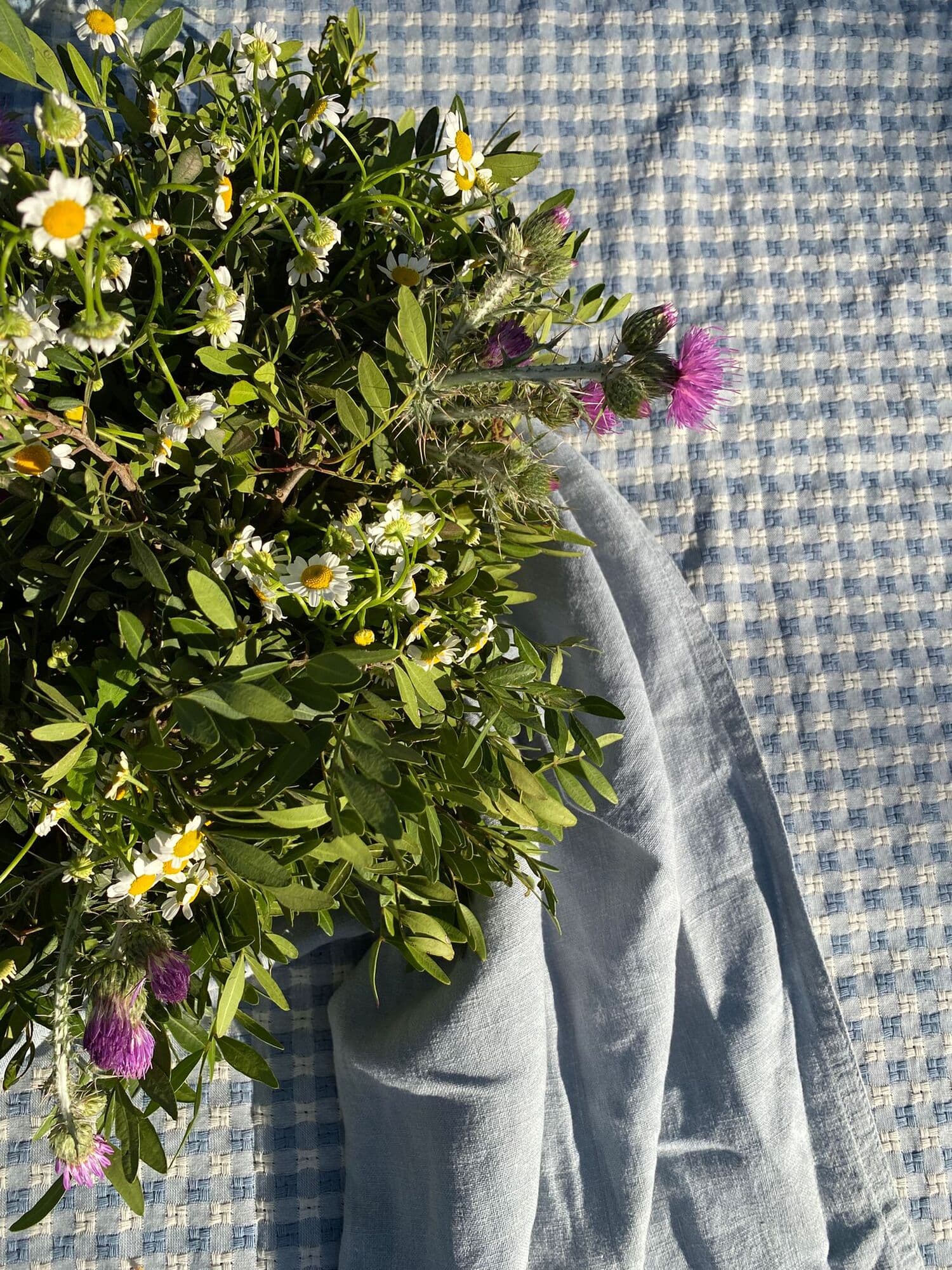 Comida en el campo — flores silvestres
