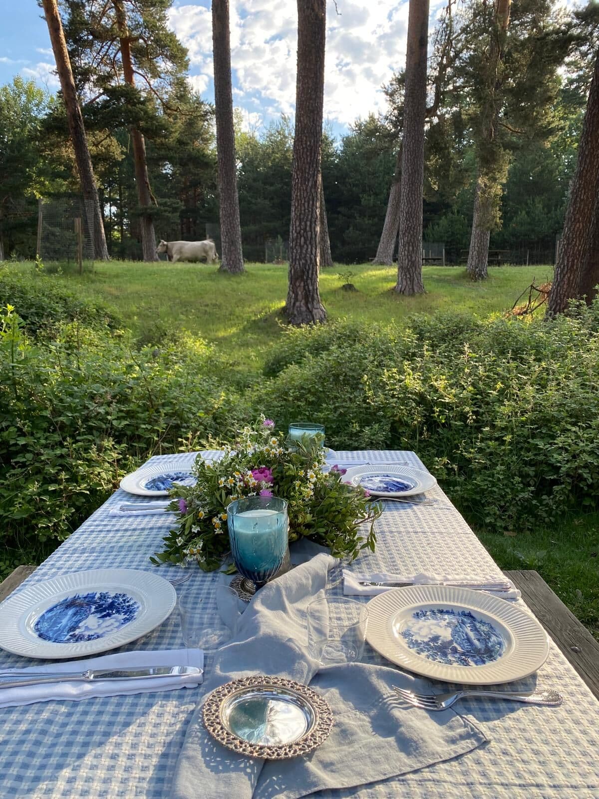 Comida en el campo — vista general
